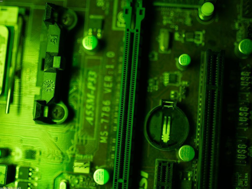 ការប្រមូត៖ យុទ្ធសាស្ត្រនិងអត្ថប្រយោជន៍