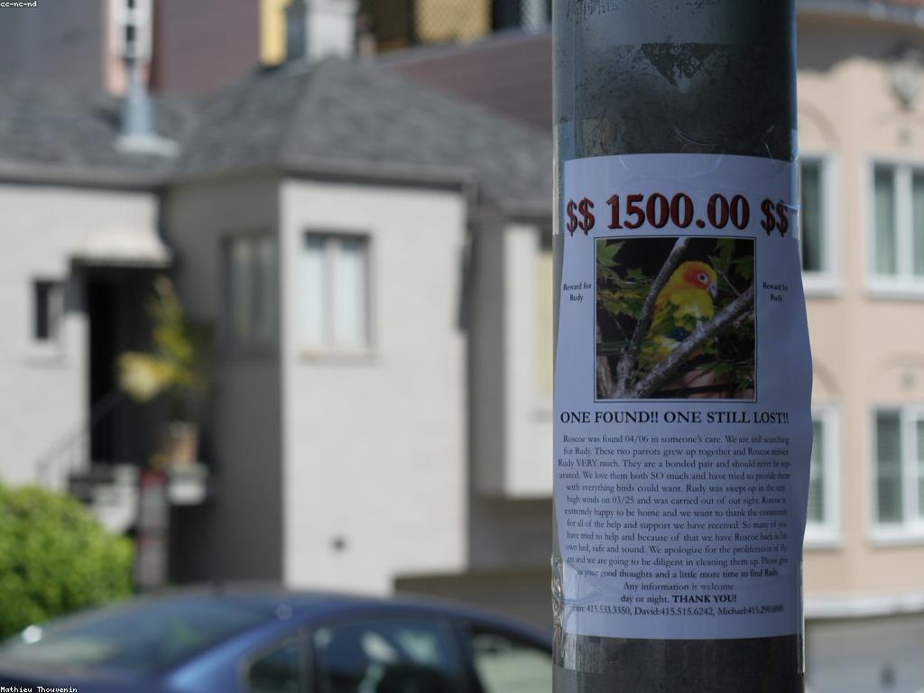 ការផ្តល់ប្រាក់រង្វាន់និងអត្ថប្រយោជន៍របស់វាសម្រាប់អាជីវកម្ម