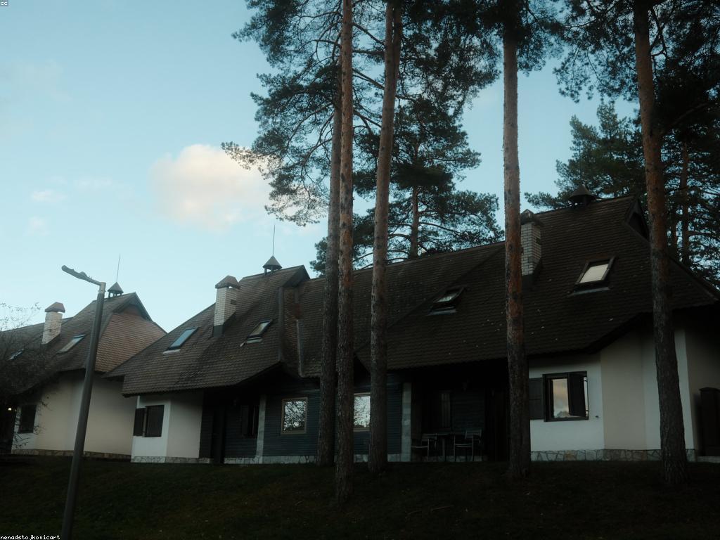 ការប្រមូត: ការពិភាក្សាអំពីអត្ថន័យ និងសារៈសំខាន់