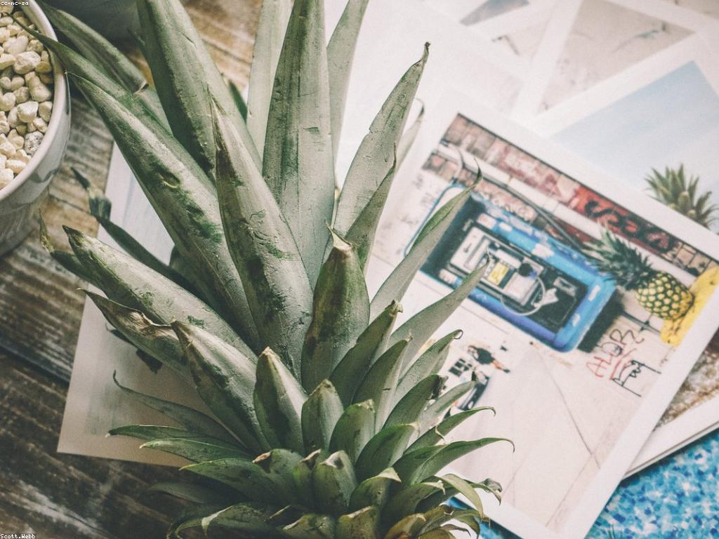 ការប្រមូត: ការរីកចម្រើនក្នុងទីផ្សារប្រព័ន្ធមាតិកាខ្មែរ