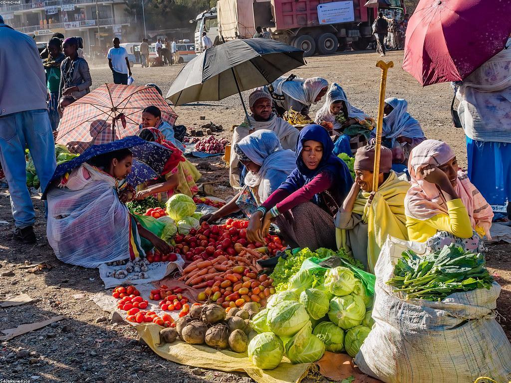 ការប្រមូត: ការពិភាក្សាអំពីអត្ថន័យ និងសារៈសំខាន់